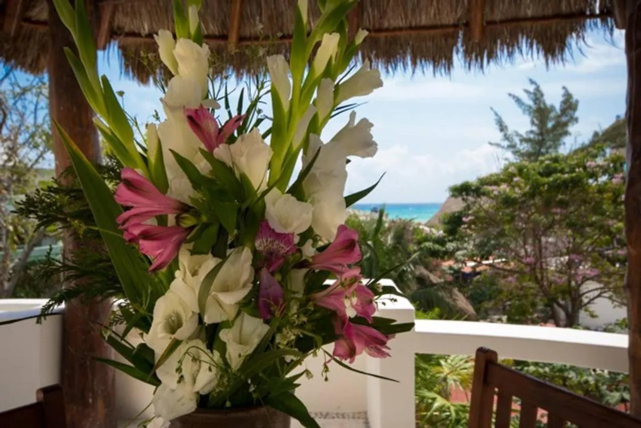 Blue Palms Suites, Pool Onsite, Steps To The Beach & 5Th Ave Playa del Carmen Apartment