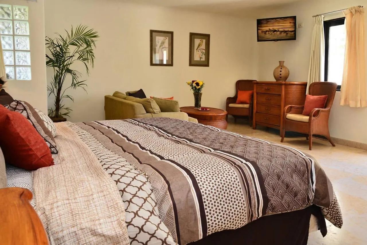 Apartment Blue Palms Suites, Pool Onsite, Steps To The Beach & 5Th Ave Playa del Carmen Mexico